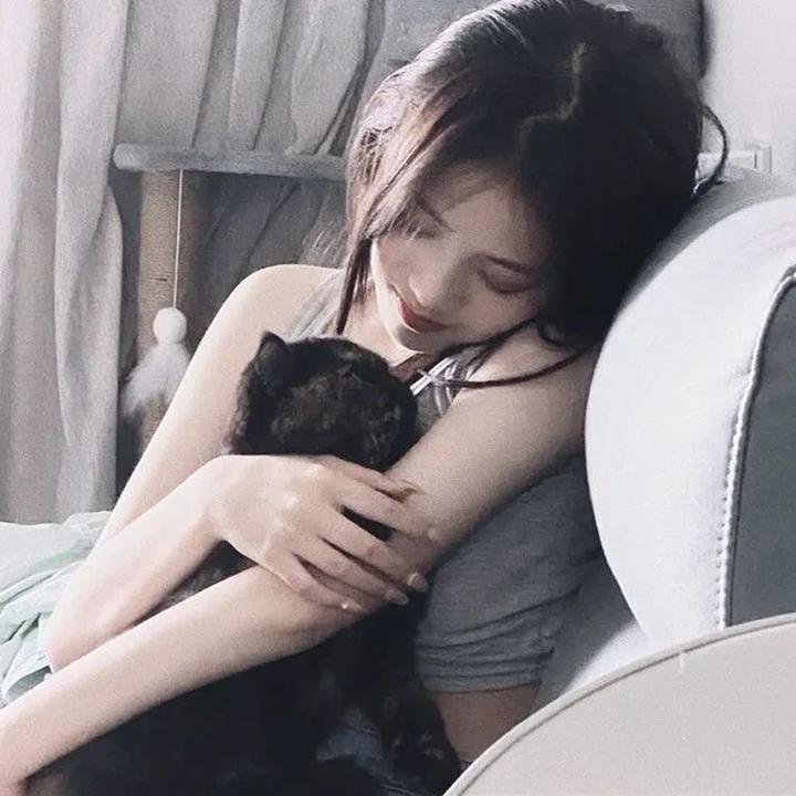 皇家律师 第三季